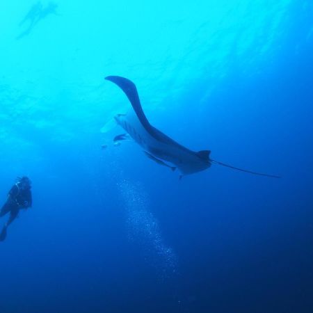 Hotel Unwind Dhigurah Dhigurah  Exteriér fotografie