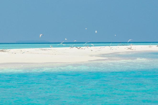 Hotel Unwind Dhigurah Dhigurah  Exteriér fotografie