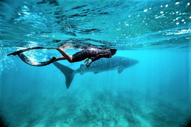 Hotel Unwind Dhigurah Dhigurah  Exteriér fotografie