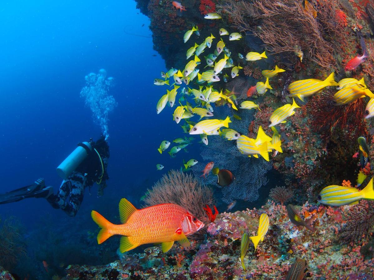 Hotel Unwind Dhigurah Dhigurah  Exteriér fotografie